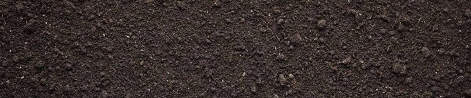 Plastic Food Packaging Bags